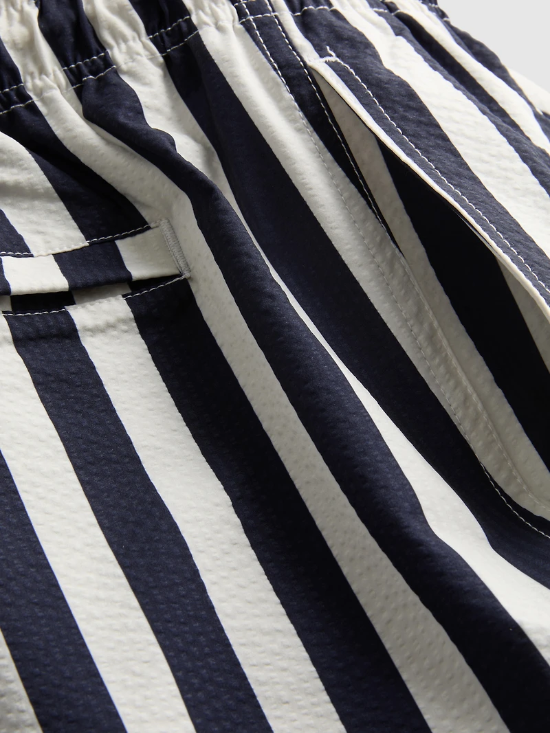 Deck Chair Stripe Swim Shorts