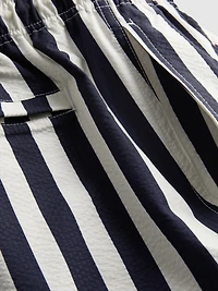 Deck Chair Stripe Swim Shorts