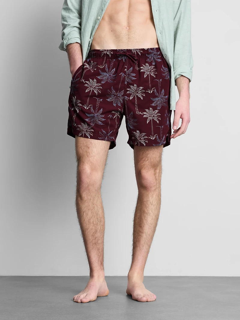 Embroidered Palm Tree Swimming Shorts
