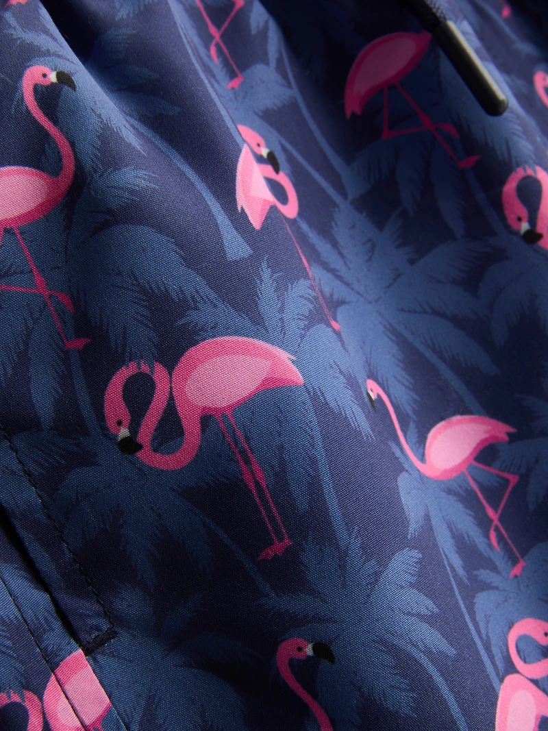 7-15yrs | Flamingo Graphic Swim Shorts