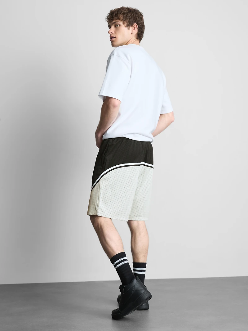 Mesh Gym Shorts
