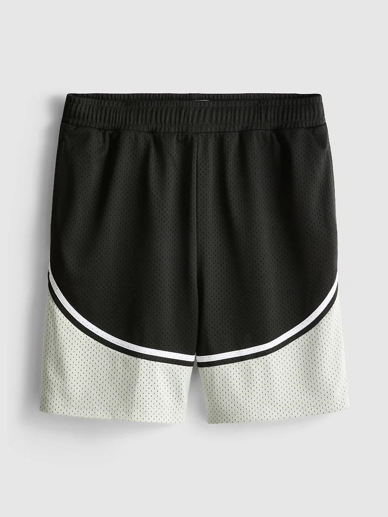 Mesh Gym Shorts