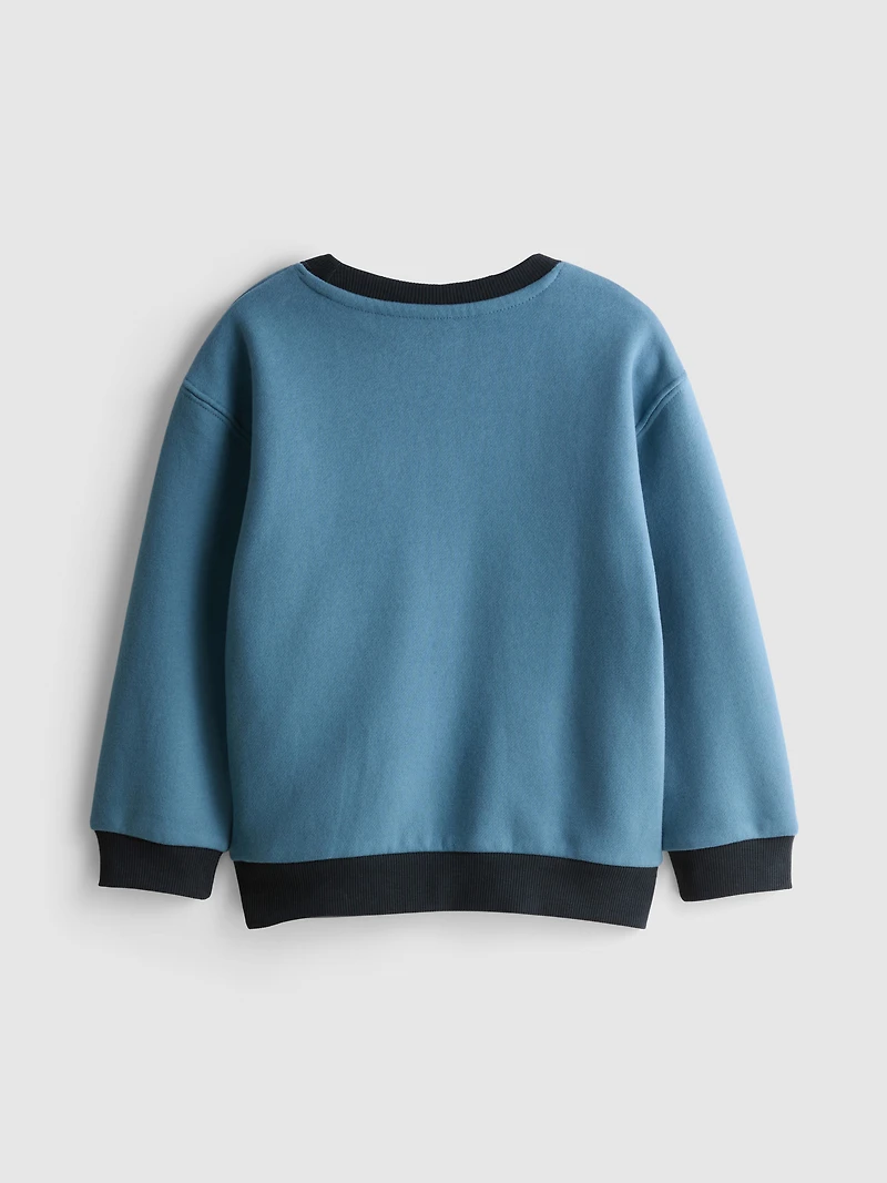 1-9yrs | Sonic The Hedgehog Sweatshirt