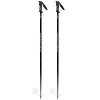 Vector Ski Pole [2025]