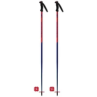 Juniors' Vector Team Ski Pole [2025]
