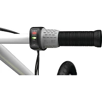 EcoSmart SUP Electric Scooter