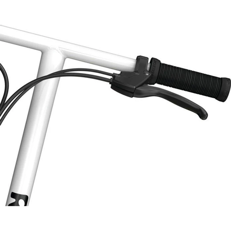 EcoSmart SUP Electric Scooter