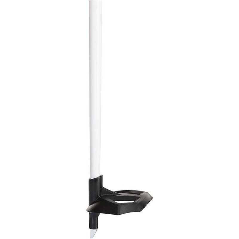 FT-600 Ski Pole [2022]