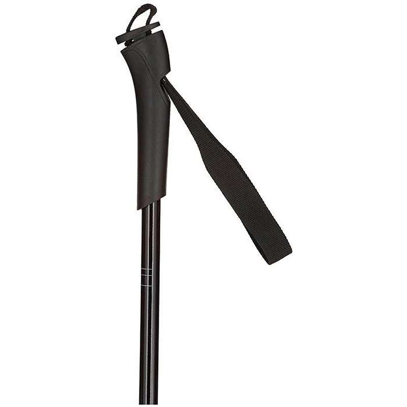 Juniors' FT-501 Ski Pole [2022]