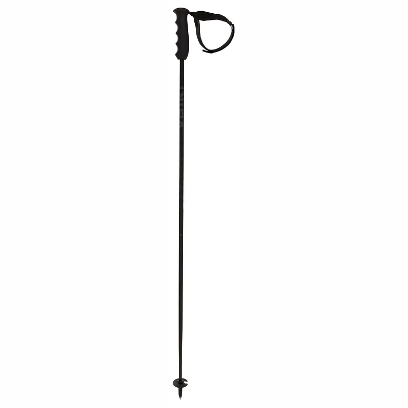 Speedstick Carbon Ski Pole [2025]
