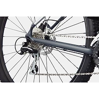 Trail 6 Bike