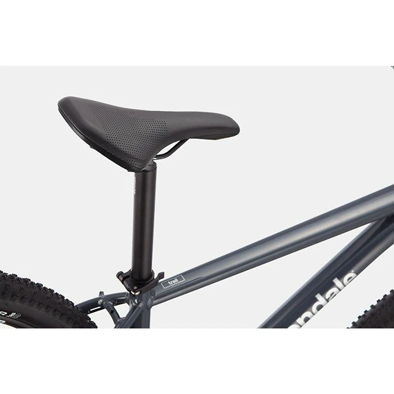 Trail 6 Bike