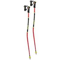 WCR Lite GS 3D Ski Pole [2025]