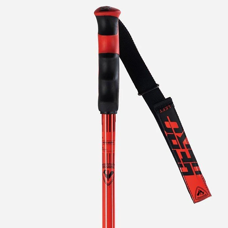 Hero GS-SG Ski Pole [2025]