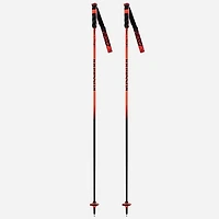 Hero Carbon Ski Pole [2025]