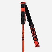 Hero Carbon Ski Pole [2025]