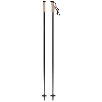 AMT Carbon Ski Pole [2025]
