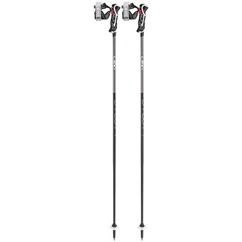 Carbon 14 3D Ski Pole [2024]