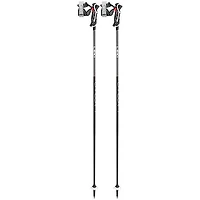 Carbon 14 3D Ski Pole [2024]