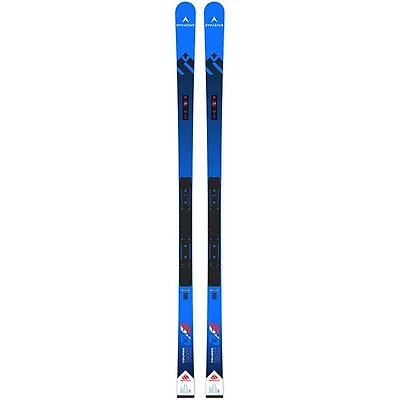 Speed Course WC GS R22 Ski [2024]