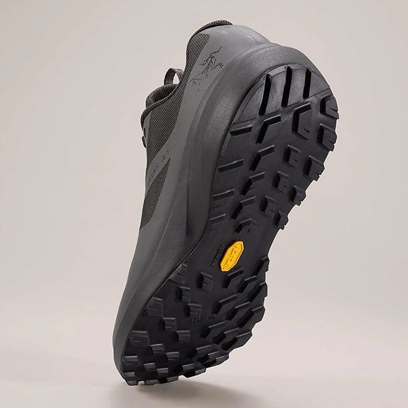 Men's Norvan LD 3 GTX Trail Running Shoe