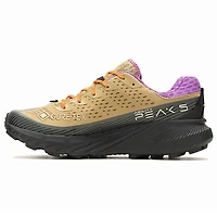 Men's Agility Peak 5 GTX Trail Running Shoe