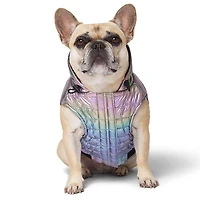 Shiny Puffer Dog Jacket (Size
