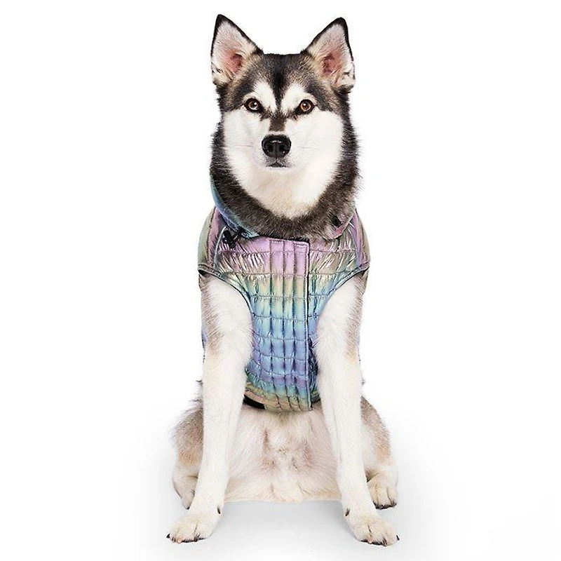 Shiny Puffer Dog Jacket (Size 18)