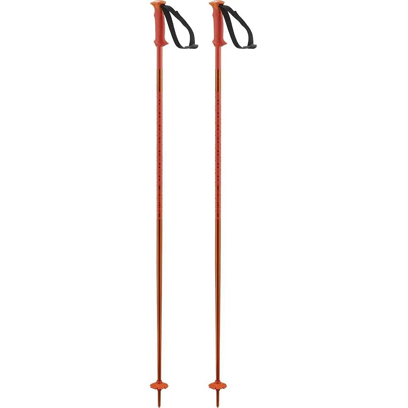 Polar Ski Pole [2025]