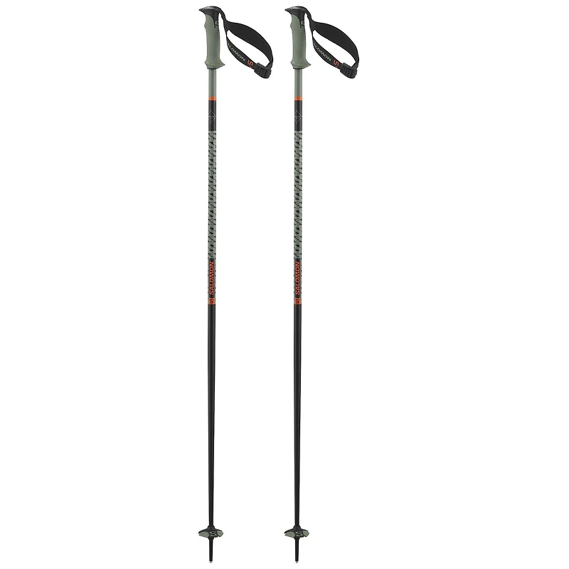 Polar Pro S3 Ski Pole [2025