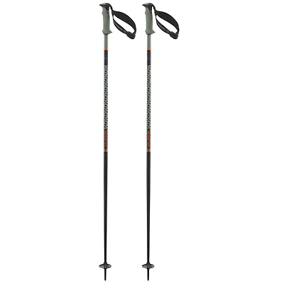 Polar Pro S3 Ski Pole [2025