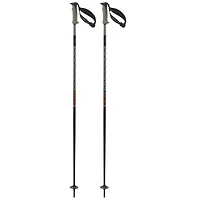 Polar Pro S3 Ski Pole [2025