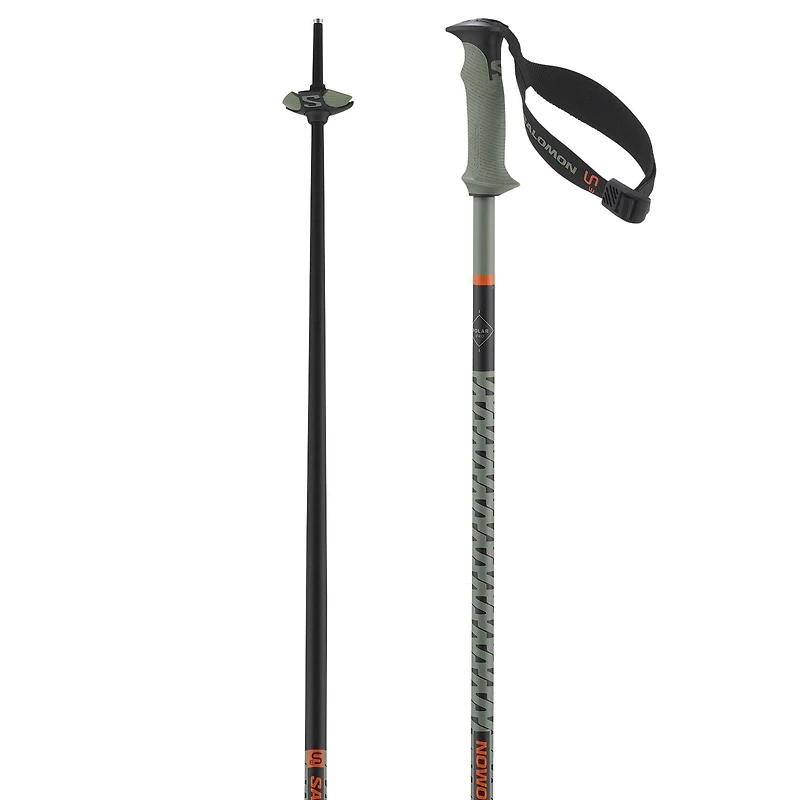 Polar Pro S3 Ski Pole [2025