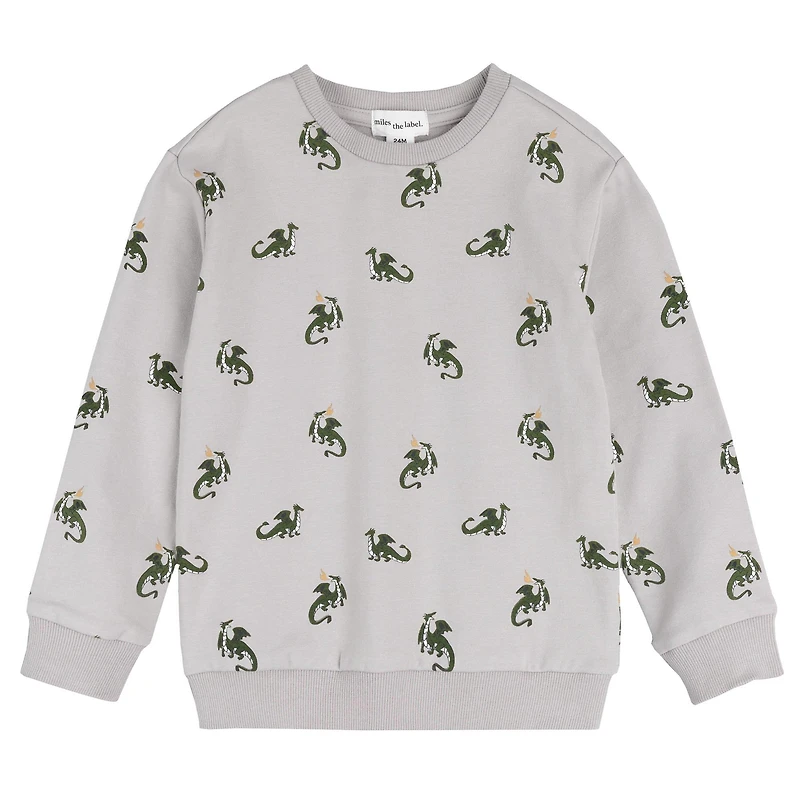 Boys' [2-10] Dragon Print Sweatshirt