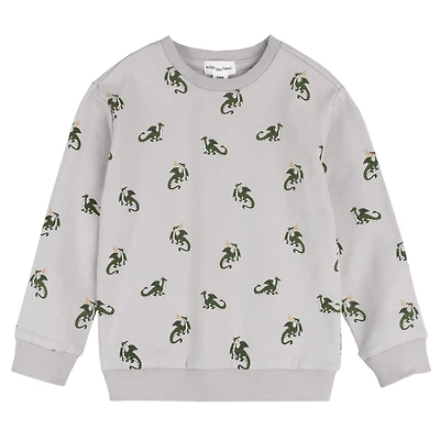 Boys' [2-10] Dragon Print Sweatshirt