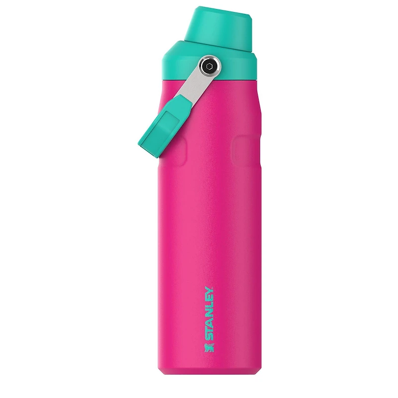 IceFlow AeroLight FastFlow Bottle (24 oz - Passion Pink)
