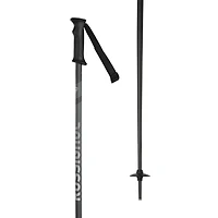 Tactic Ski Pole [2025]