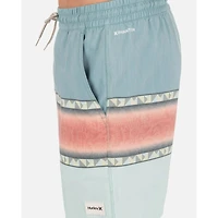 Men's Phantom Naturals Cannonball Volley 17" Swim Trunk