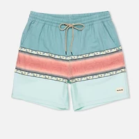 Men's Phantom Naturals Cannonball Volley 17" Swim Trunk