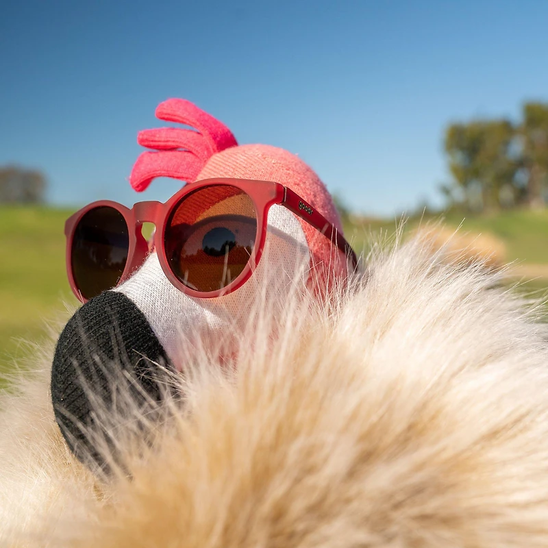 I'm Wearing Burgundy Circle G Sunglasses