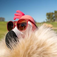 I'm Wearing Burgundy Circle G Sunglasses