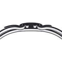 Vanquisher 3.0 Swim Goggle
