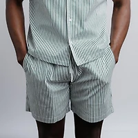Men's Pinstripe Lined Short