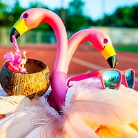 Flamingos OG Sunglasses