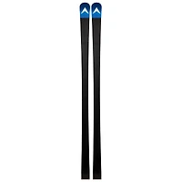 Speed Course WC GS 170-182 R22 Ski [2026]
