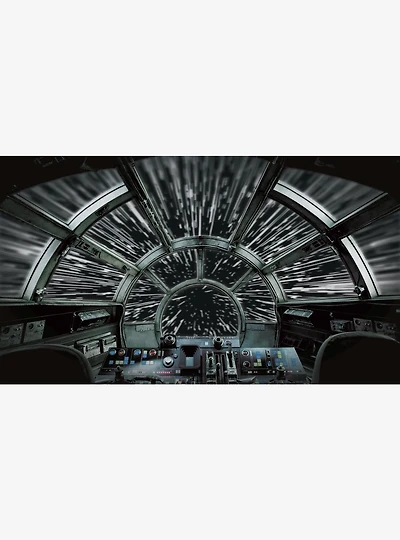 Star Wars Millennium Falcon Peel and Stick Mural