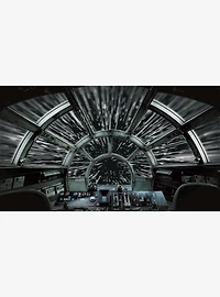 Star Wars Millennium Falcon Peel and Stick Mural