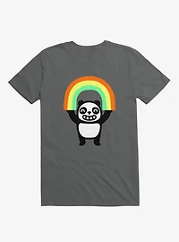 Panda Found A Rainbow Asphalt Grey T-Shirt