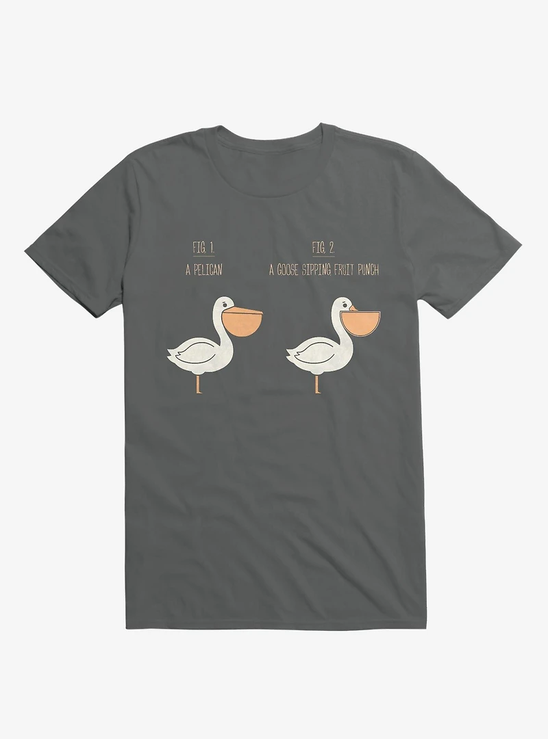 Know Your Birds A Pelican Or Goose Charcoal Grey T-Shirt