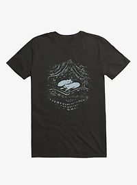 Winter Cats T-Shirt